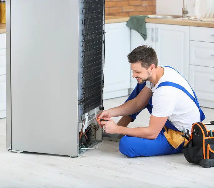 Fridge Repair